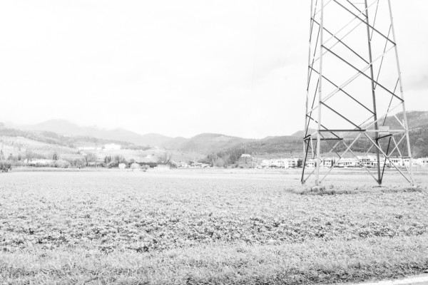 Materiale Condivisibile -  © Davide Cetta